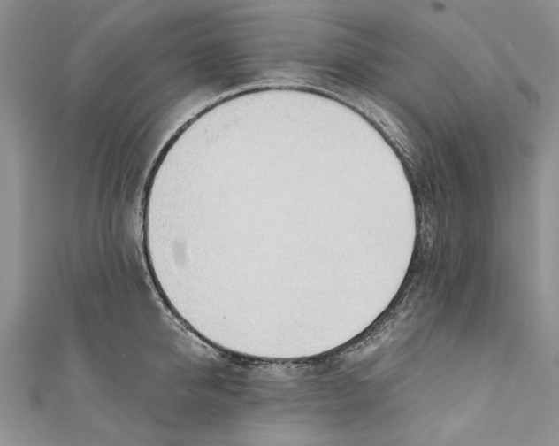 X0000110670950200907101103