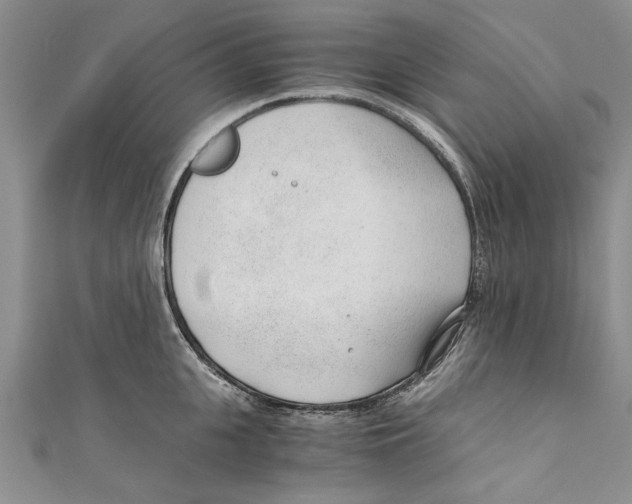X0000110670951200907101103