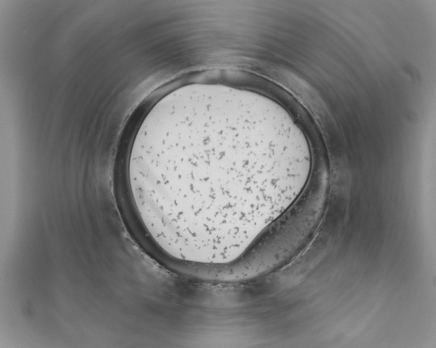 X0000110670952200907101103