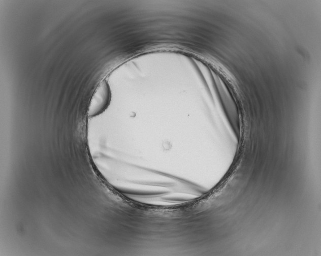 X0000110670953200907101103
