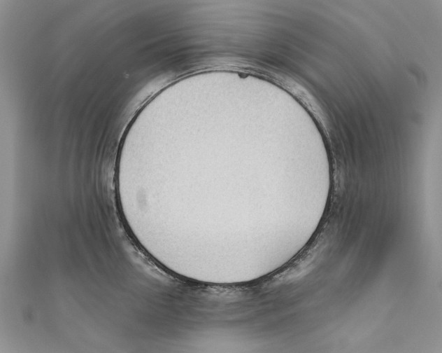 X0000110670954200907101103