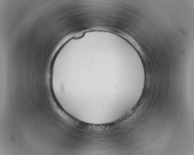 X0000110670955200907101103