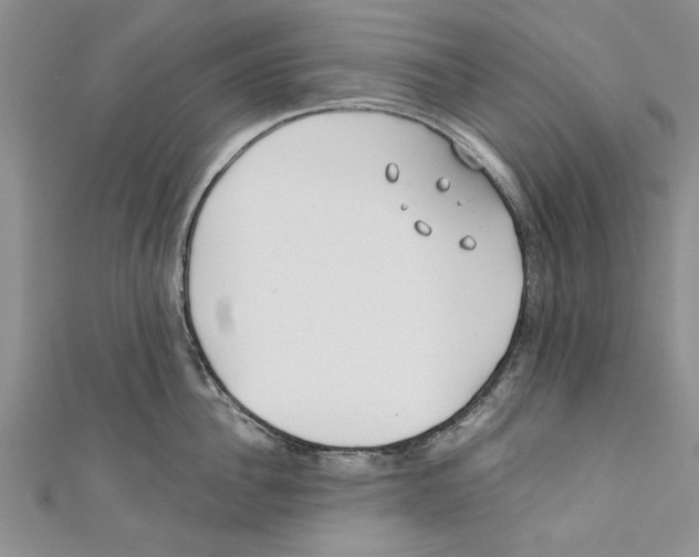 X0000110670956200907101103