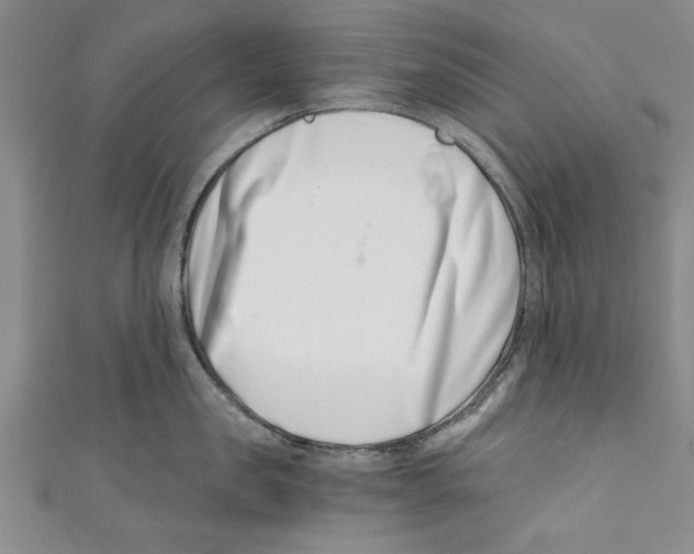 X0000110670957200907101103