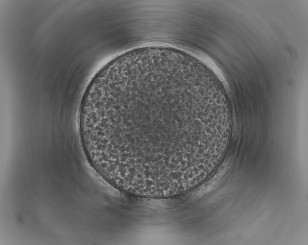 X0000110670958200907101103