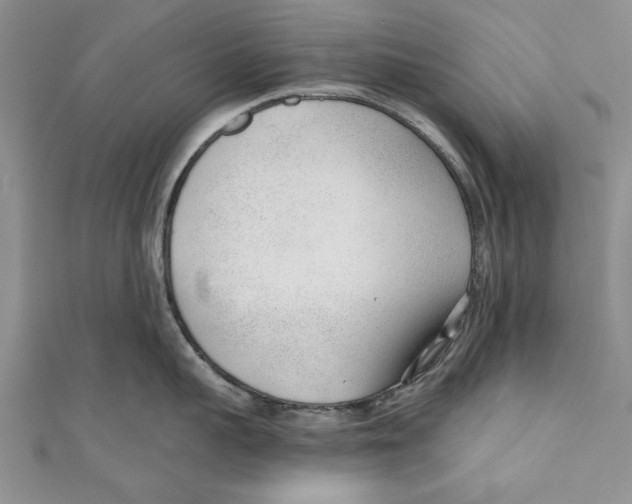 X0000110670959200907101103