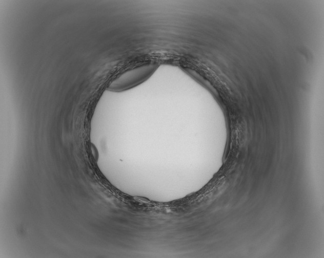 X0000110670961200907101103