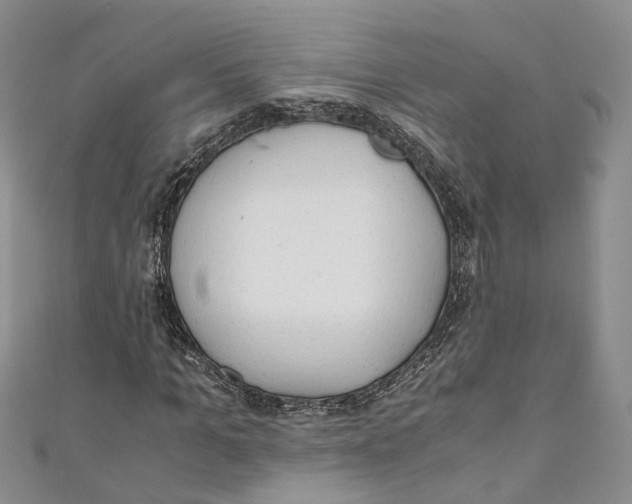 X0000110670965200907101103