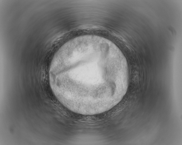 X0000110670966200907101103