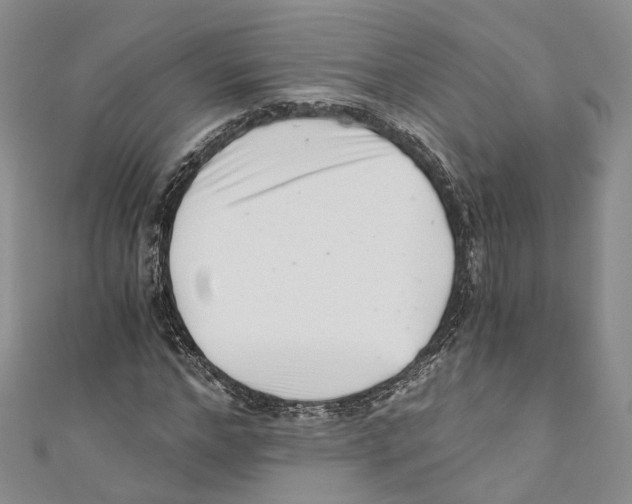 X0000110670968200907101103