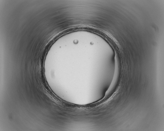 X0000110670969200907101103