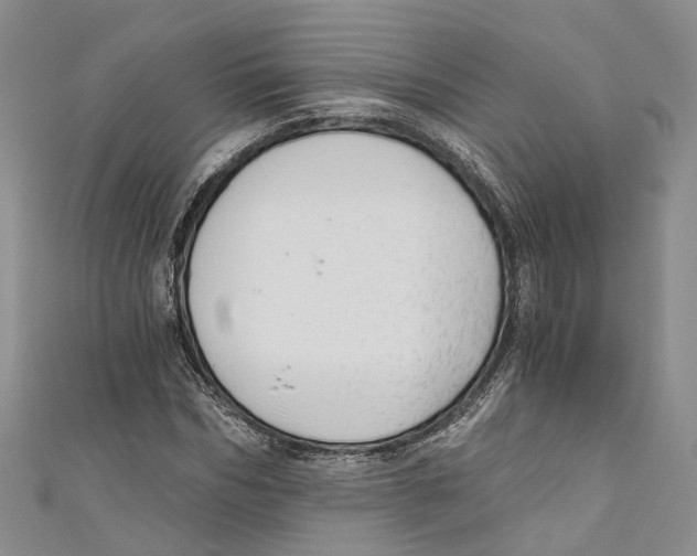 X0000110670970200907101103
