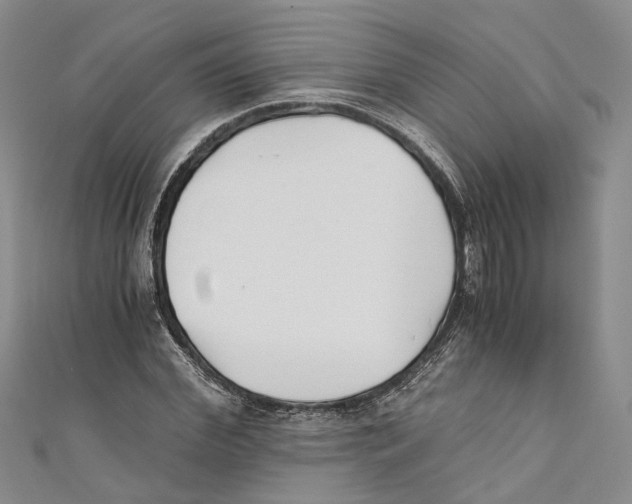 X0000110670972200907101103