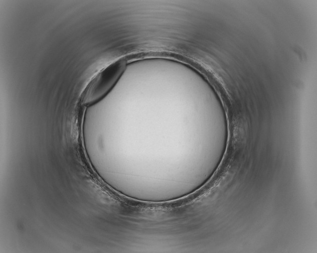 X0000110670973200907101103