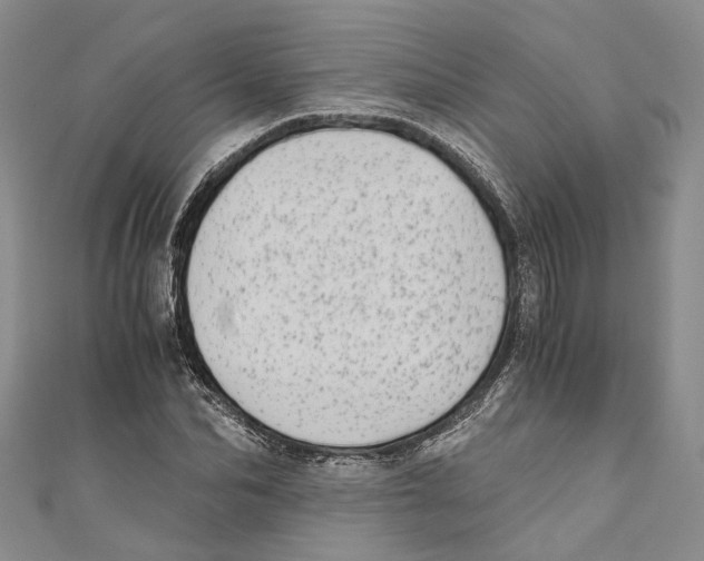 X0000110670974200907101102
