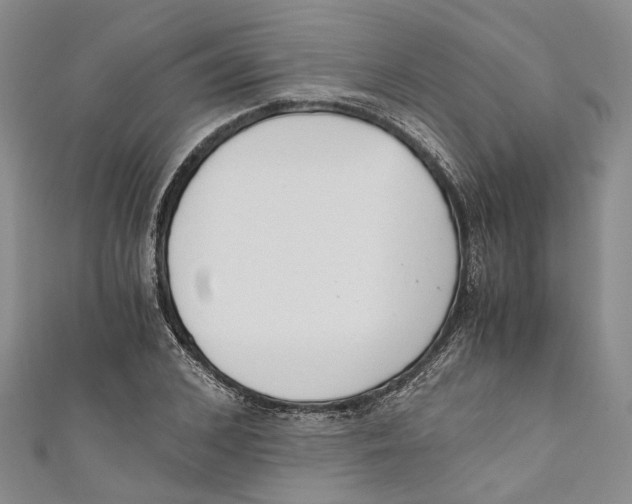 X0000110670976200907101102