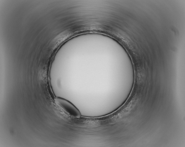 X0000110670977200907101102