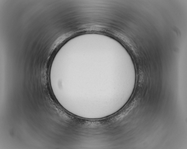 X0000110670978200907101102