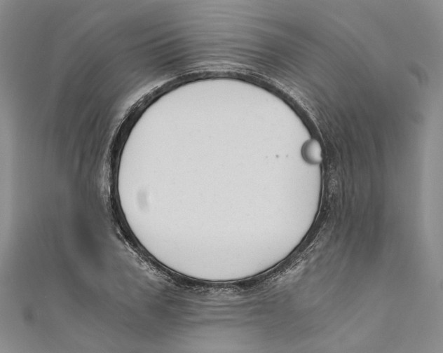X0000110670979200907101102