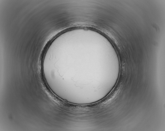 X0000110670981200907101102