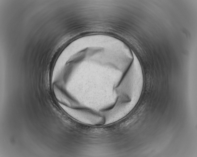 X0000110670982200907101102