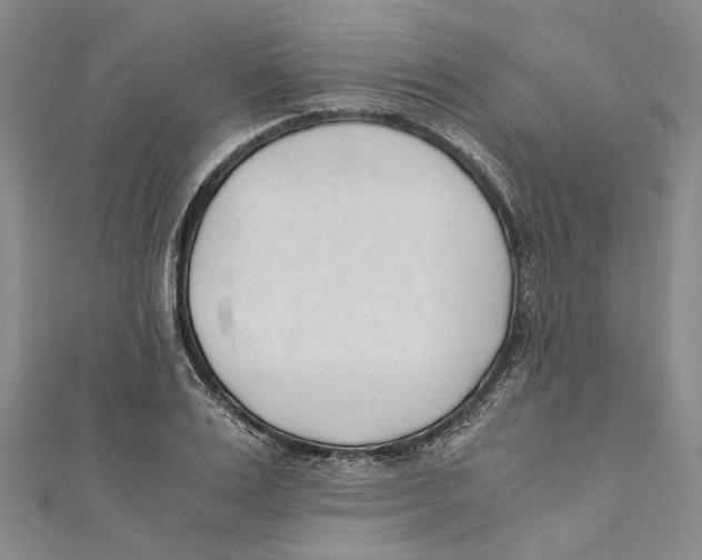 X0000110670983200907101102