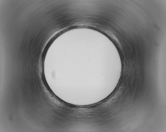X0000110670984200907101102