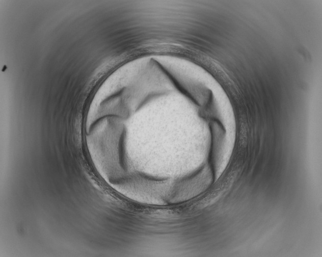 X0000110670986200907101102