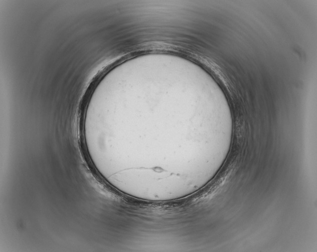 X0000110670987200907101102