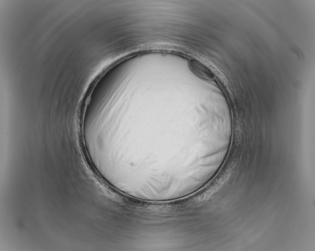 X0000110670989200907101102