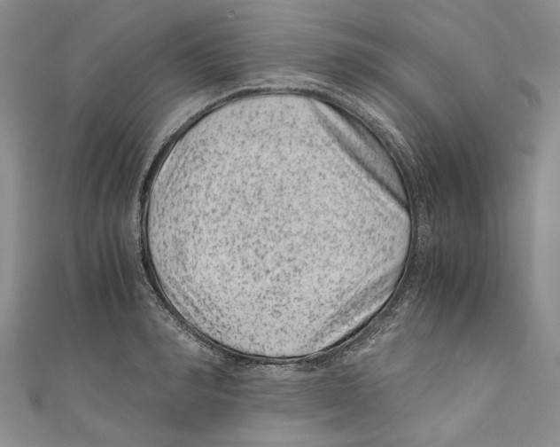 X0000110670990200907101102