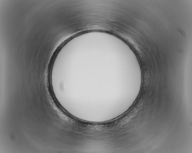 X0000110670991200907101102