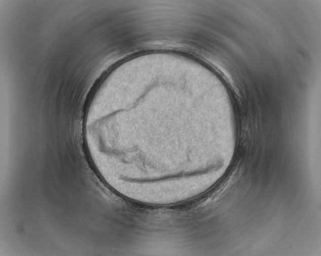 X0000110670992200907101102