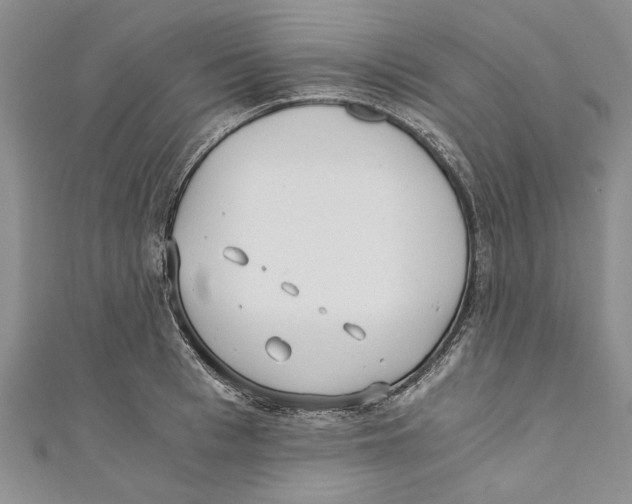 X0000110670993200907101102
