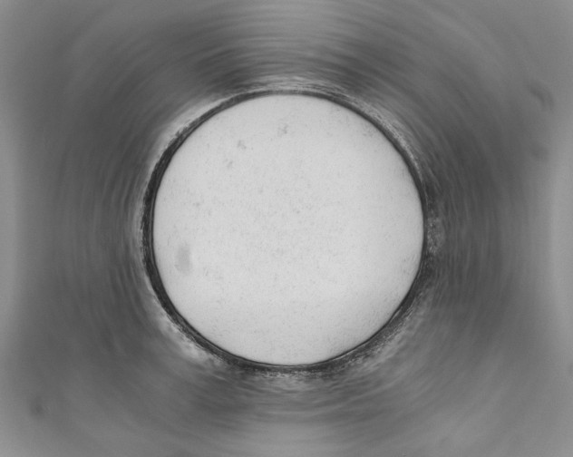 X0000110670995200907101102
