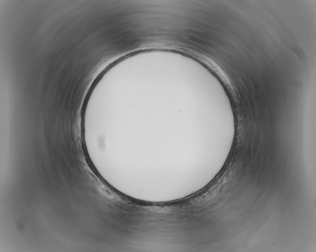 X0000110670996200907101102