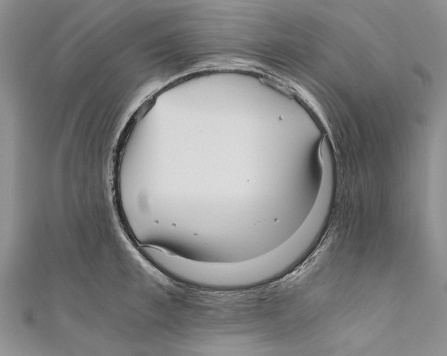 X0000110670997200907101102