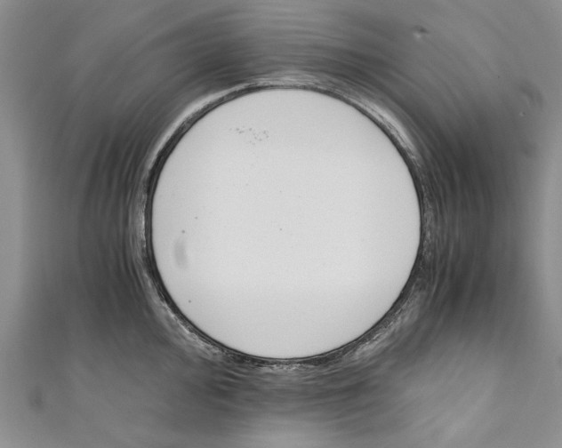 X0000110671000200907101102