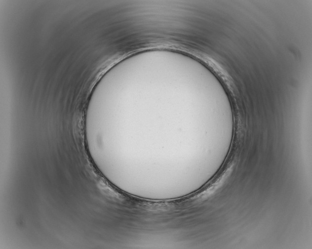 X0000110671001200907101102