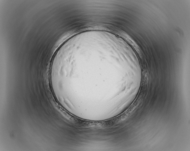 X0000110671002200907101102