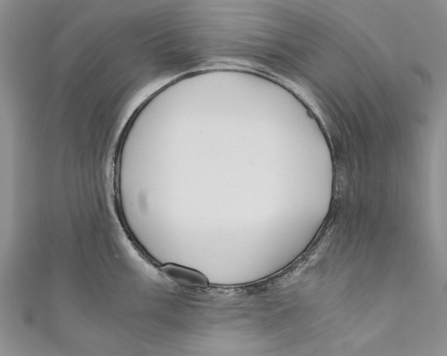 X0000110671003200907101102