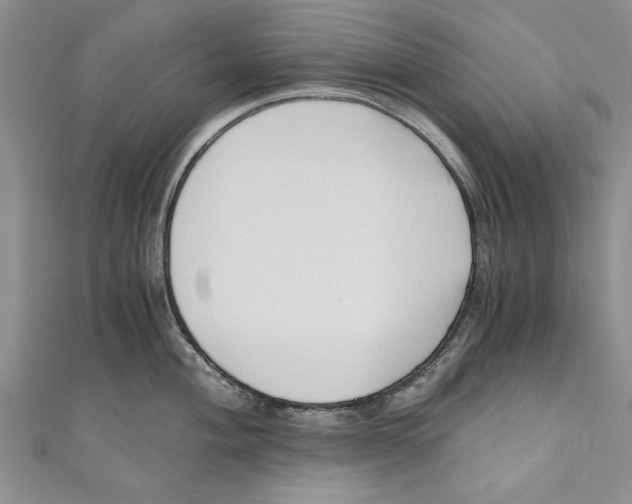 X0000110671004200907101102