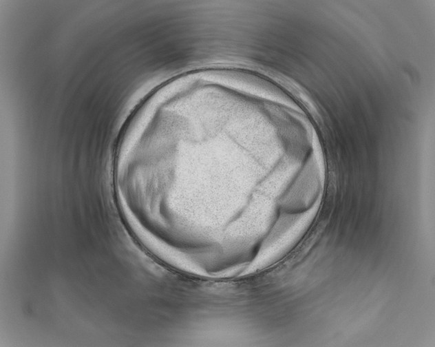 X0000110671006200907101102