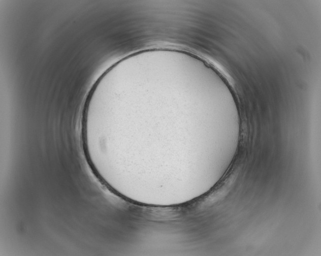 X0000110671007200907101102