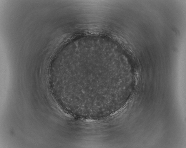 X0000110671009200907101101