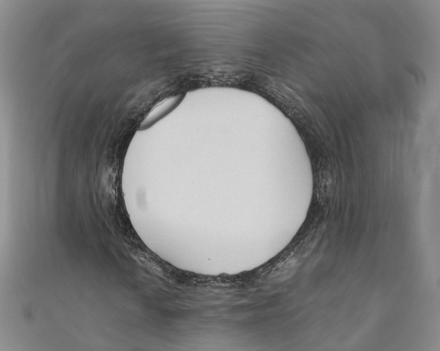 X0000110671010200907101101