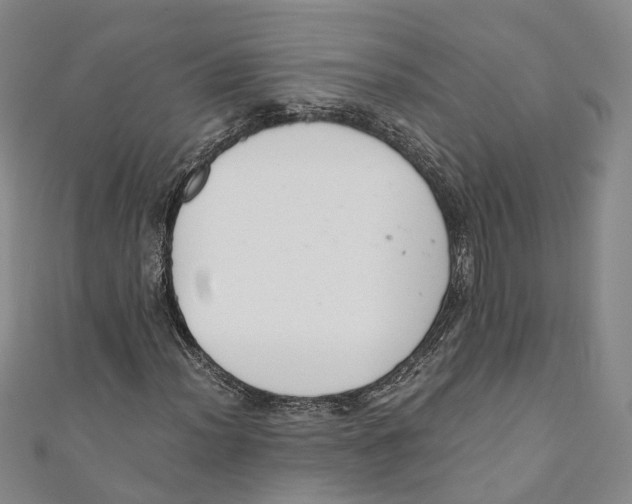 X0000110671012200907101101