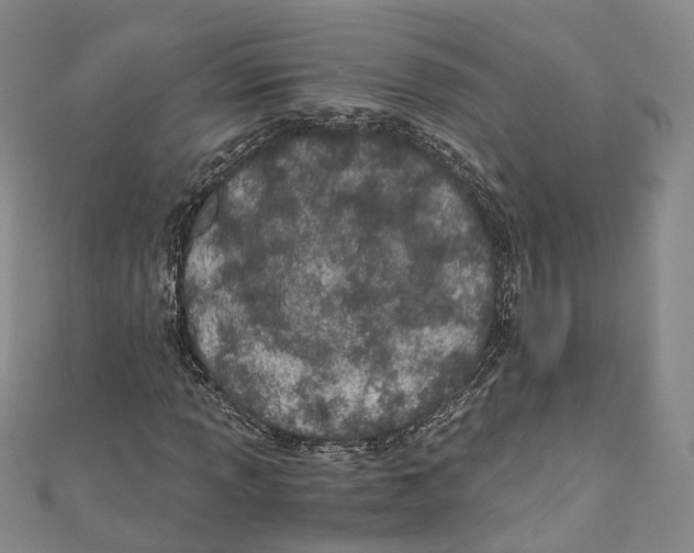 X0000110671013200907101101