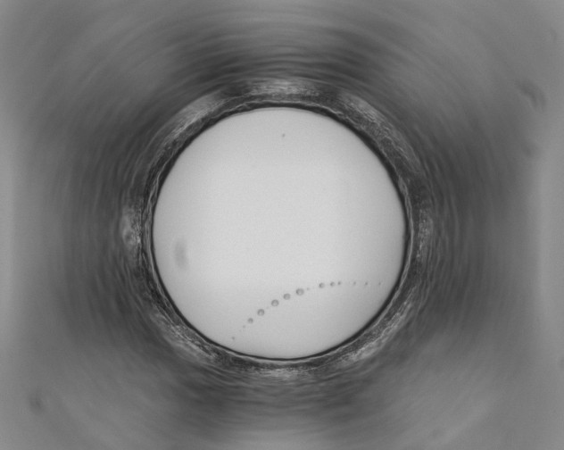 X0000110671017200907101102