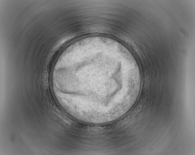 X0000110671019200907101102